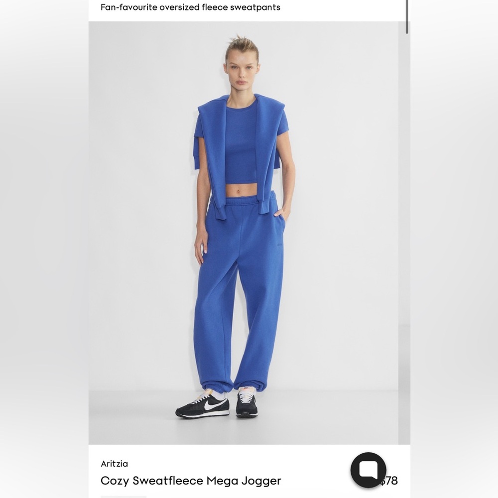Aritzia sweatpant joggers washed blue